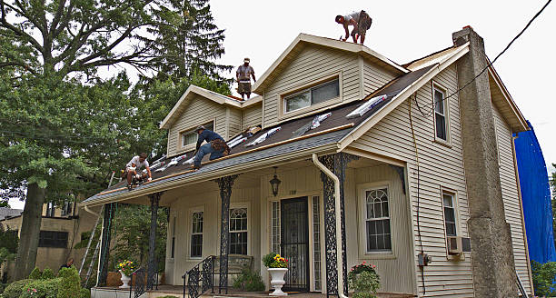 Best Roof Repair Services  in Clifton Gardens, NY